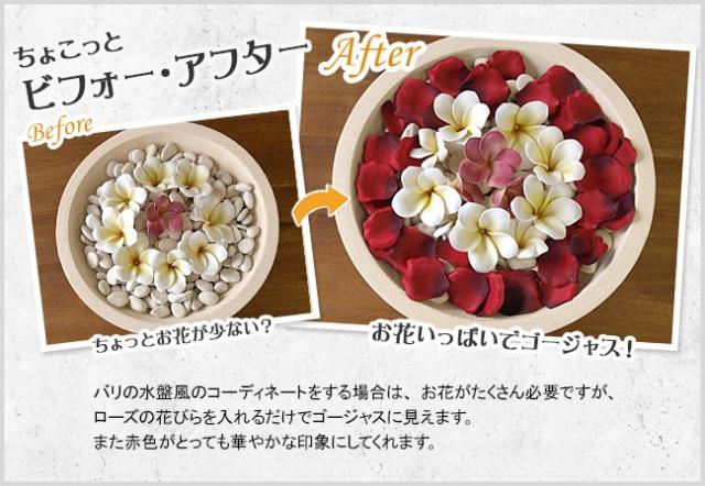 ローズペタル　コーディネート