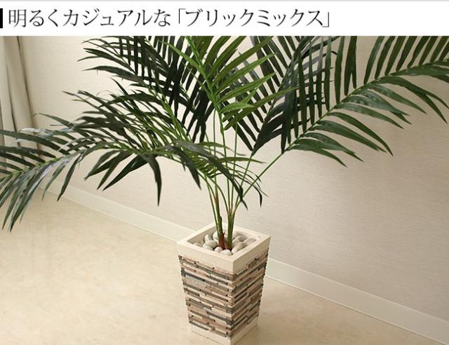 植木鉢　観葉植物