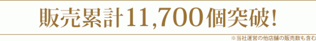 販売累計11,700個突破!