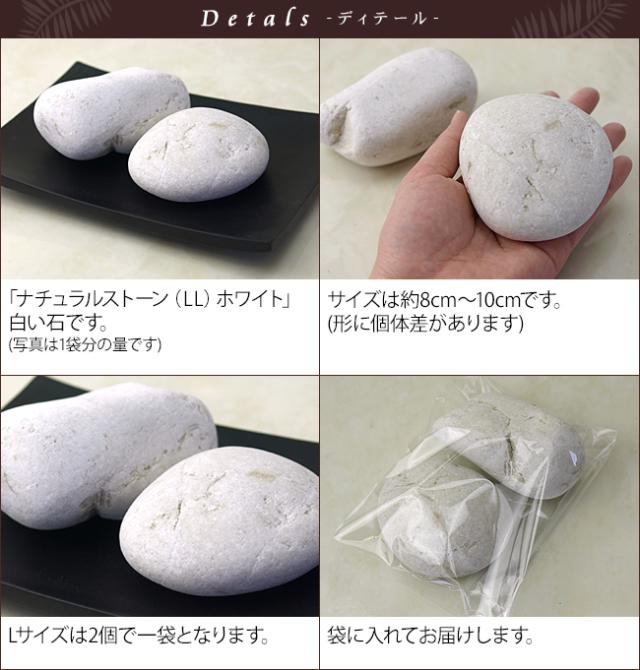 観葉植物 化粧石 土隠し