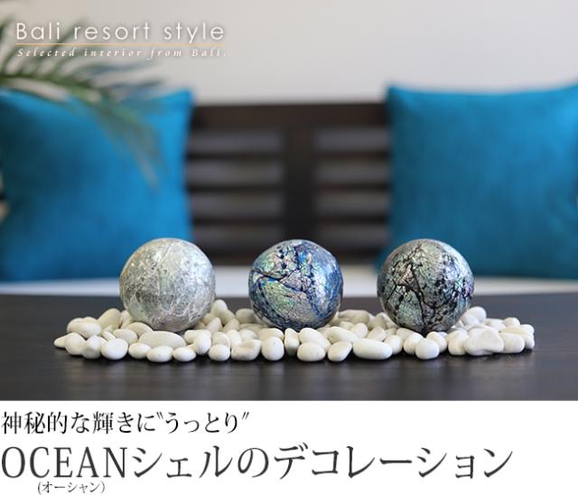 オーシャンシェルのインテリアボールの販売(通販)