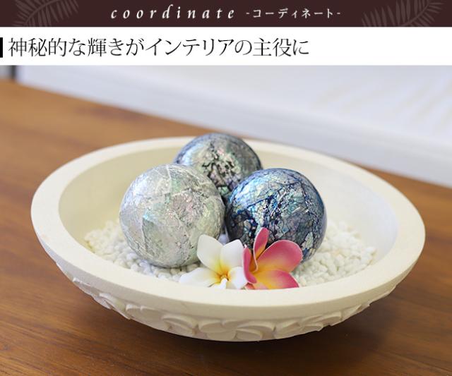 オーシャンシェル