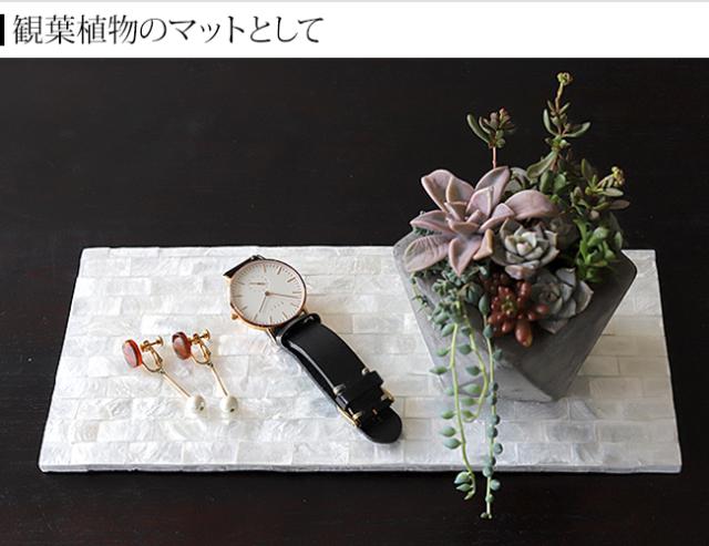 シェルのマット 観葉植物