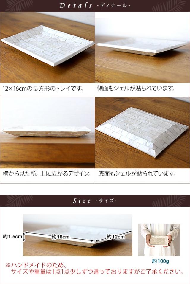 シェルのトレイのサイズ