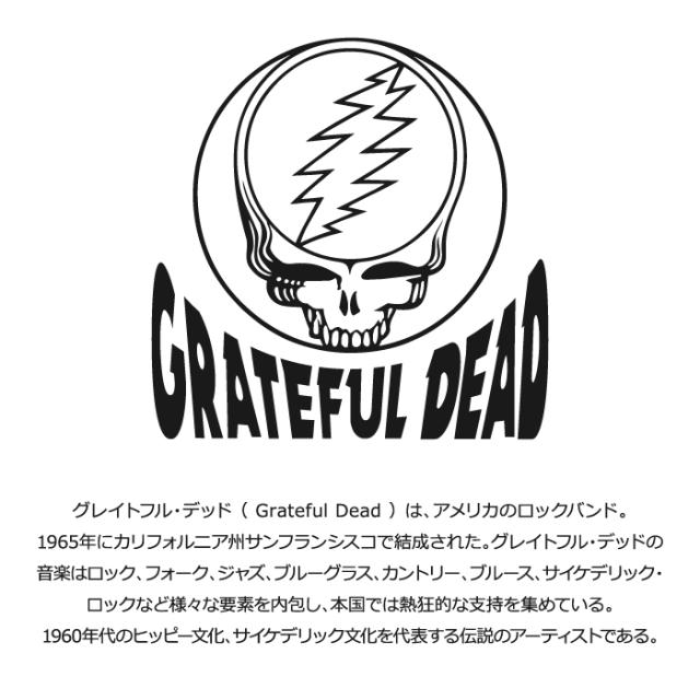 グレートフル デッド tシャツ バンドt ビンテージ スカル vintage Grateful Dead tシャツ クルーネック 半袖 ヴィンテージ バンドT