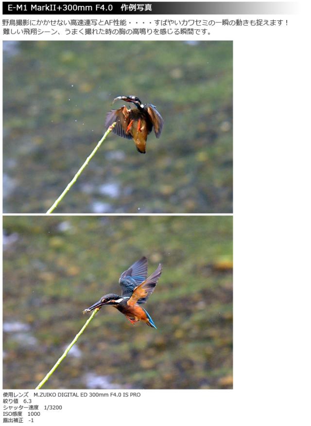 コンビニ受取対応商品 Olympus オリンパス M Zuiko Digital Ed 300mm F4 0 Is Pro 日本最大級 Olsonesq Com