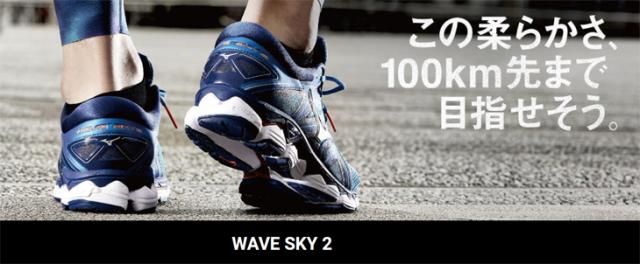 2 Wave Sky J1gd1802 06 Mizuno ミズノ ランニングシューズ 25 0 スカイブルー シルバー 通販 Www Gjfsar Com