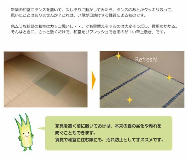 IKEHIKO イケヒコ メーカー直送 純国産 い草 上敷き カーペット 糸引織 立山 団地間6畳(約255×340cm) 熊本県八代産イ草使用 - 0