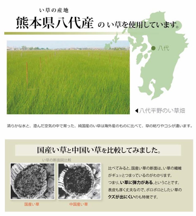 IKEHIKO イケヒコ メーカー直送 純国産 い草 上敷き カーペット 糸引織 立山 団地間6畳(約255×340cm) 熊本県八代産イ草使用 - 0