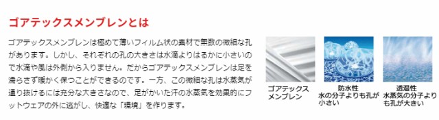 格安通販 ASAHI/アサヒシューズ トップドライ ゴアテックスシューズ ユニセックス 26.5cm 足囲3E (ベージュ) TDY2105の通販はau PAY マーケット - ムラウチドットコム|商品ロットナンバー:490057756 大得価得価