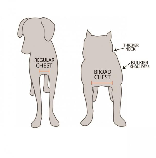 スネークアーマー ドッグ　ハンティングベスト