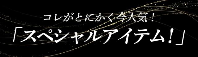 スペシャルアイテム