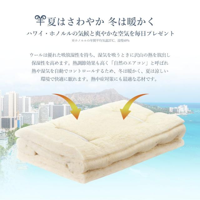 羊まくら 素肌呼吸 小サイズ 羊毛