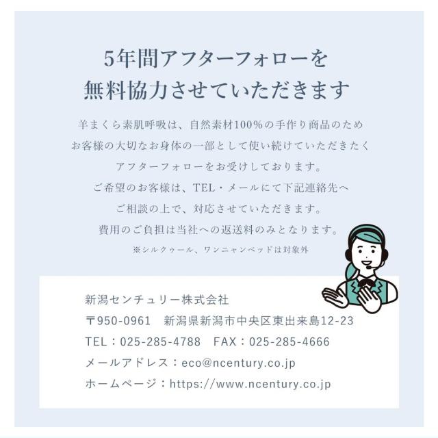 羊まくら 素肌呼吸 小サイズ 羊毛