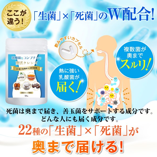 生菌、死菌、熱に強い乳酸菌、生きて届く、奥まで届く、腸まで届く