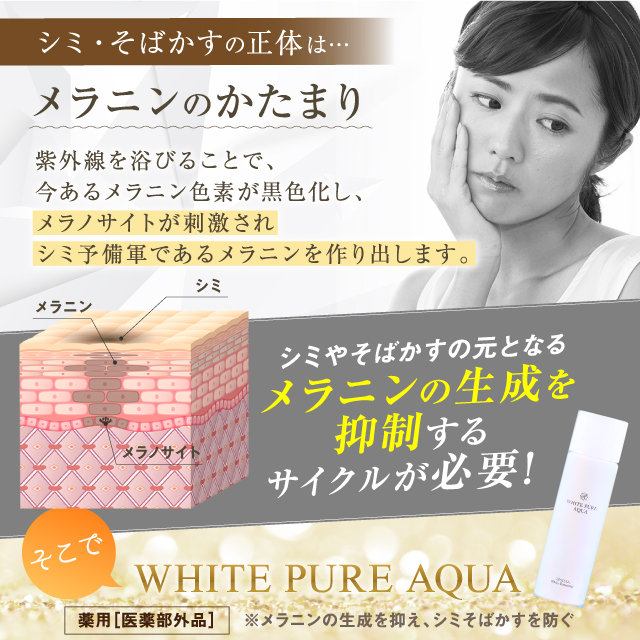 シミ、そばかす、メラニン、紫外線、メラノサイト、刺激、色素沈着、ターンオーバー、肌生成、肌、美肌、美白、艶、潤い、ツヤ、ハリ