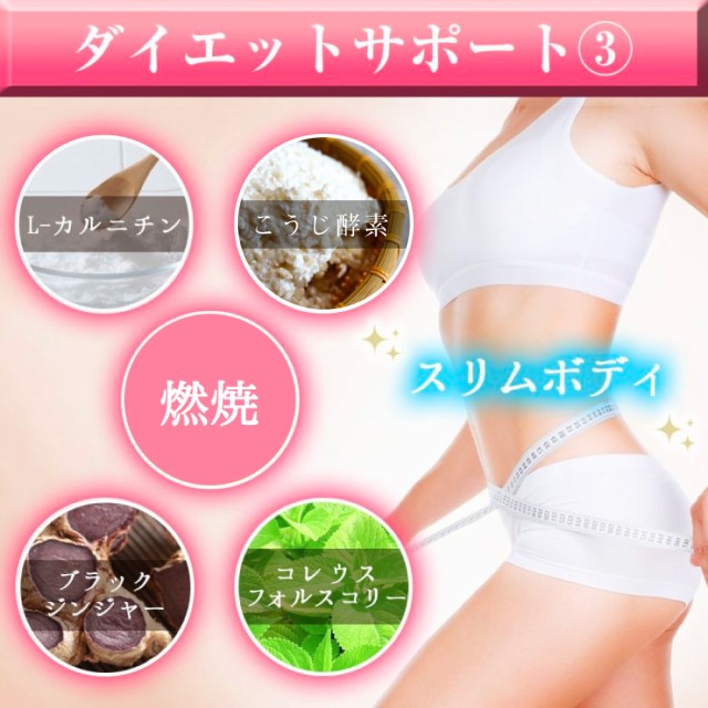 ダイエットサポート、ダイエット、サポート、L-カルニチン、こうじ酵素、燃焼、痩せる、燃える、ブラックジンジャー、コレウスフォルスコリー、体重、体型、スリム