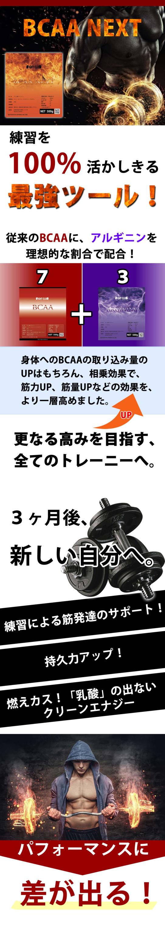 BCAA-NEXT説明１