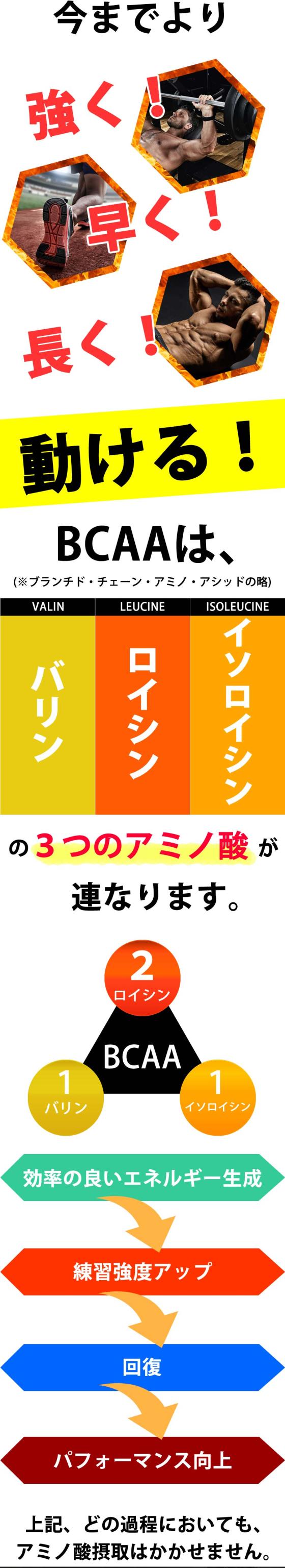 BCAA-NEXT説明２