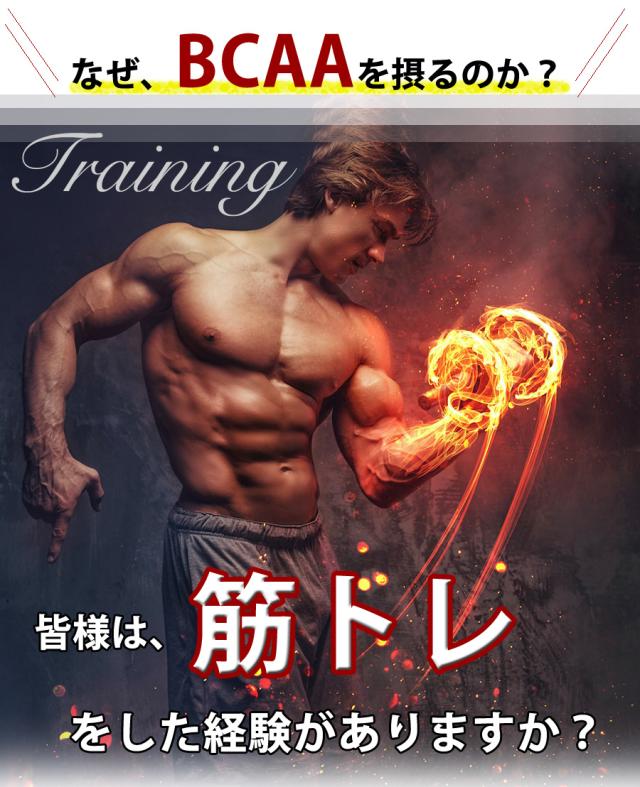 BCAA説明1
