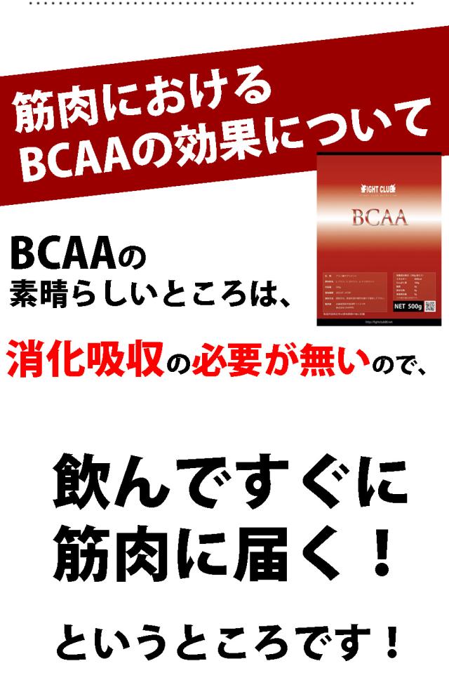 BCAA説明13