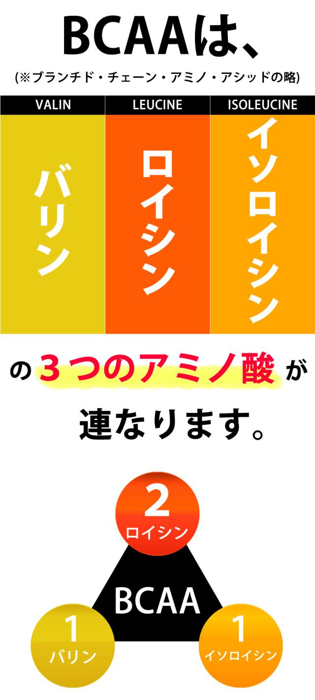 BCAA説明18
