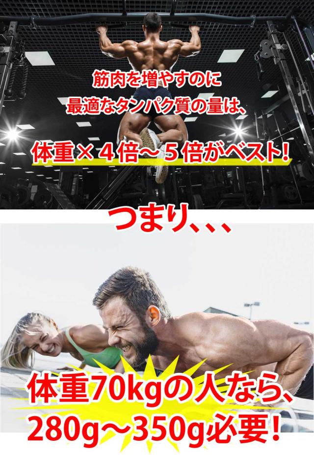 ソイプロテイン説明８