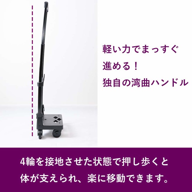 スワニー キャリーバッグ SWANY ルバンドIII ルバンド3 M18 M