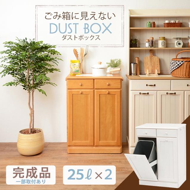 当季大流行 分別 ダストボックス おしゃれ 送料無料 25l 2個 2分別ダストボックス ゴミ箱 分別 ごみ箱 キッチン ゴミ箱 Www Monroegovernment Org