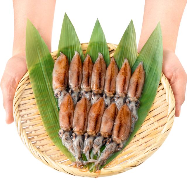 ホタルイカ