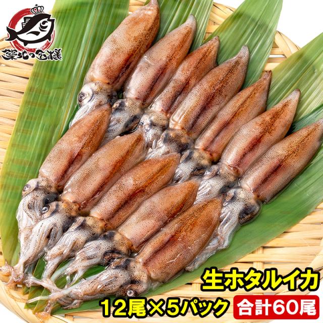生ホタルイカ