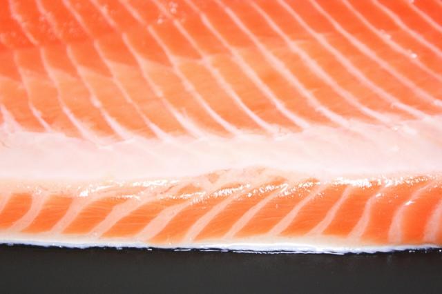 トロサーモン半身サイド