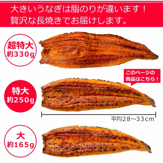 うなぎ蒲焼き サイズ