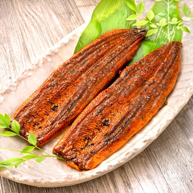 うなぎ蒲焼き イメージ