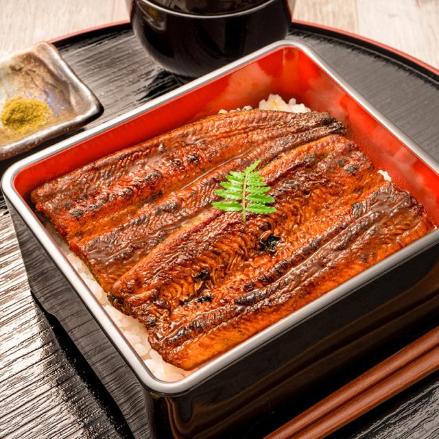 うなぎ蒲焼き ハーフカット皿盛り