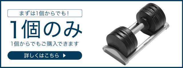 フレックスベル24kg 1個