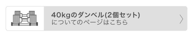 40kg ダンベル2個セット