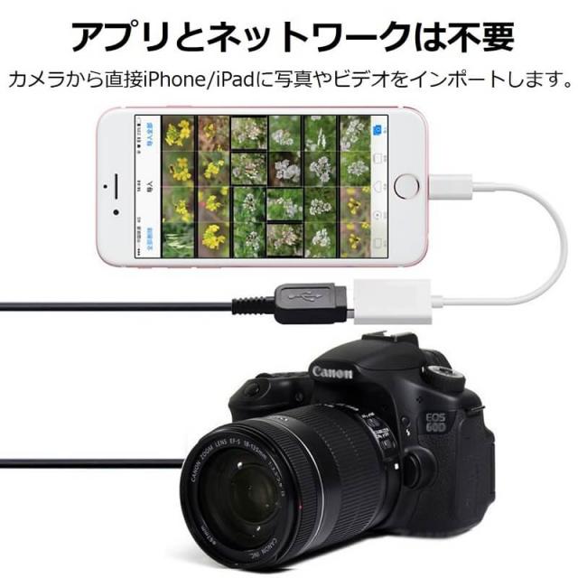 【送料無料】iPhone iPad 変換アダプタ OTG ケーブル