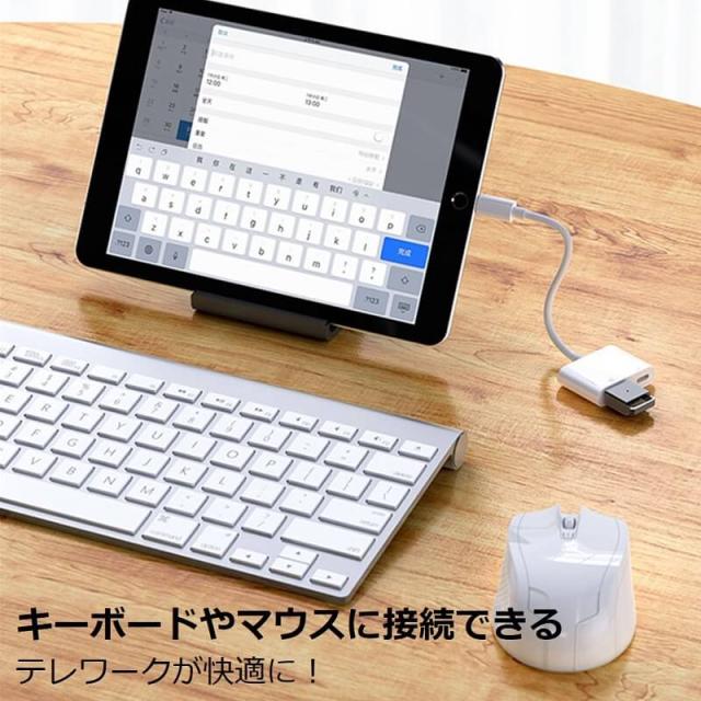 【送料無料】iPhone iPad 変換アダプタ OTG ケーブル