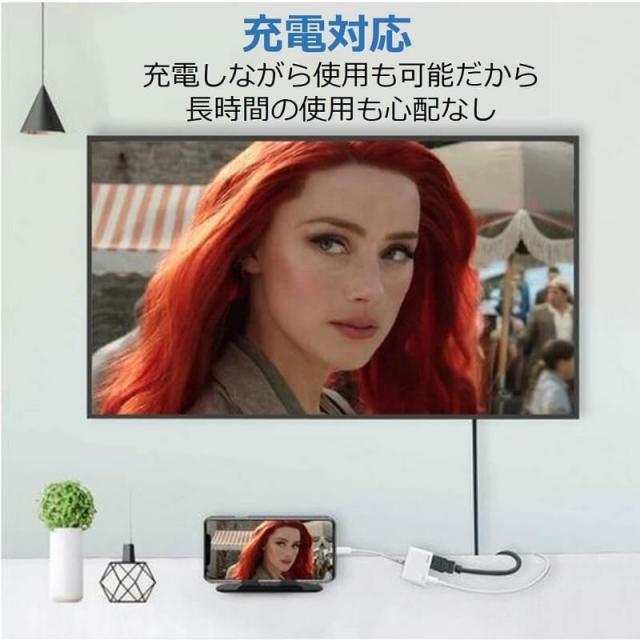 【送料無料】iPhone iPad 変換アダプタ OTG ケーブル