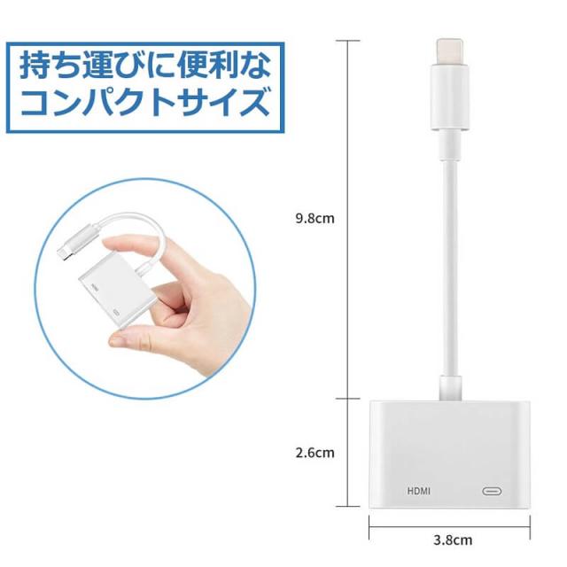 【送料無料】iPhone iPad 変換アダプタ OTG ケーブル