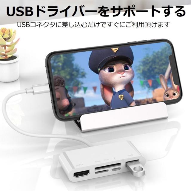 【送料無料】iPhone iPad 変換アダプタ OTG ケーブル