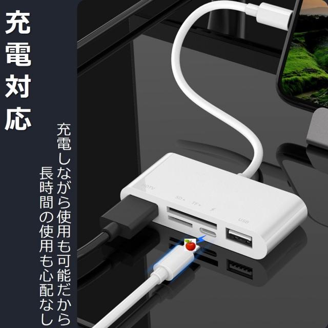 【送料無料】iPhone iPad 変換アダプタ OTG ケーブル