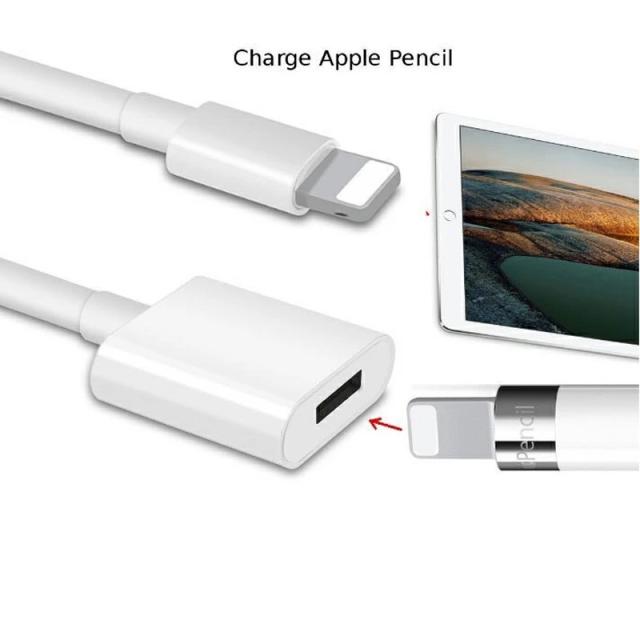 【送料無料】iPhone iPad 変換アダプタ OTG ケーブル