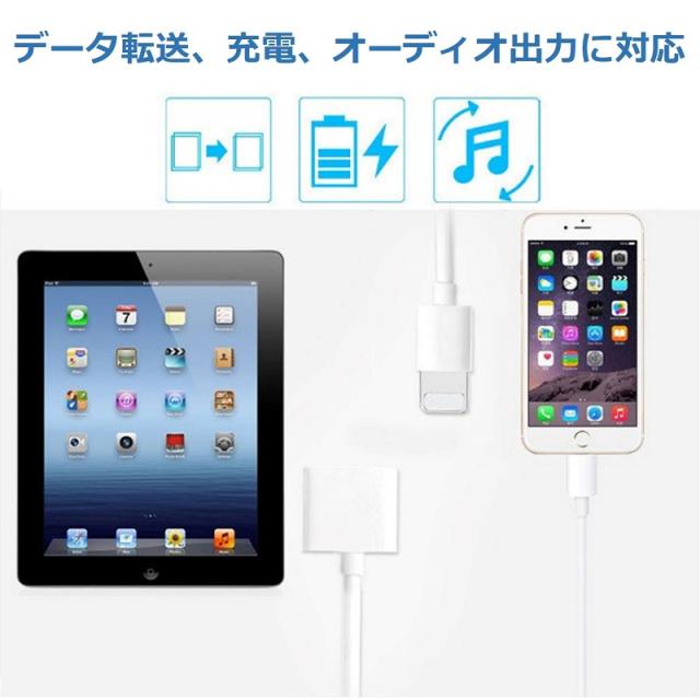 【送料無料】iPhone iPad 変換アダプタ OTG ケーブル