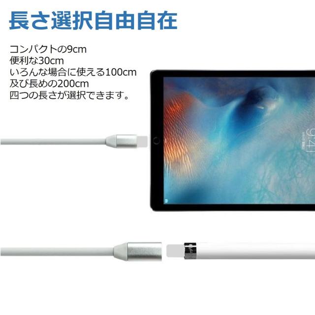 【送料無料】iPhone iPad 変換アダプタ OTG ケーブル