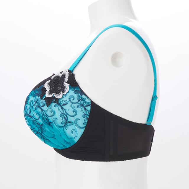 シュルラックブラ