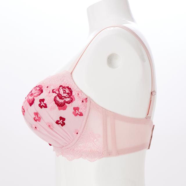 グラーティアブラ