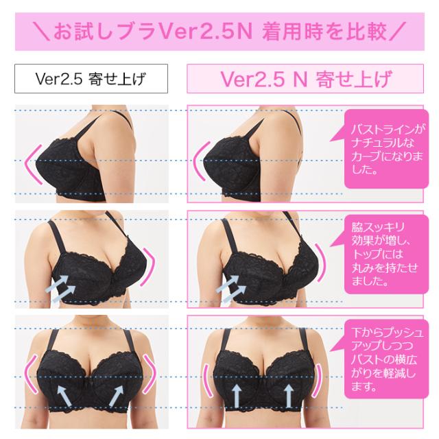 お試しブラVer2.5N ベージュ 3/4カップ・寄せ上げ