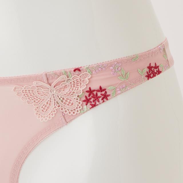 フィアーバTバック